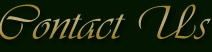Contact Us
